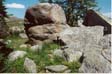 Nature's Rock Garden (Healy Pass)