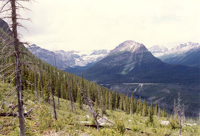 Mount Whymper and Vermilion Pass