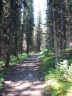 Taylor Lake Trail