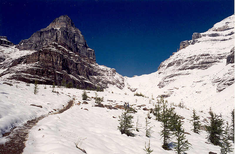 Sentinel Pass in the Snow