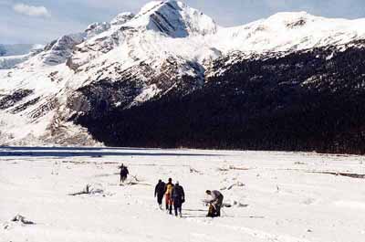 Saskatchewan Glacier Trail