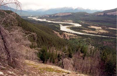 Athabasca River Valley