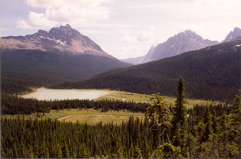 Chrome Lake Meadows