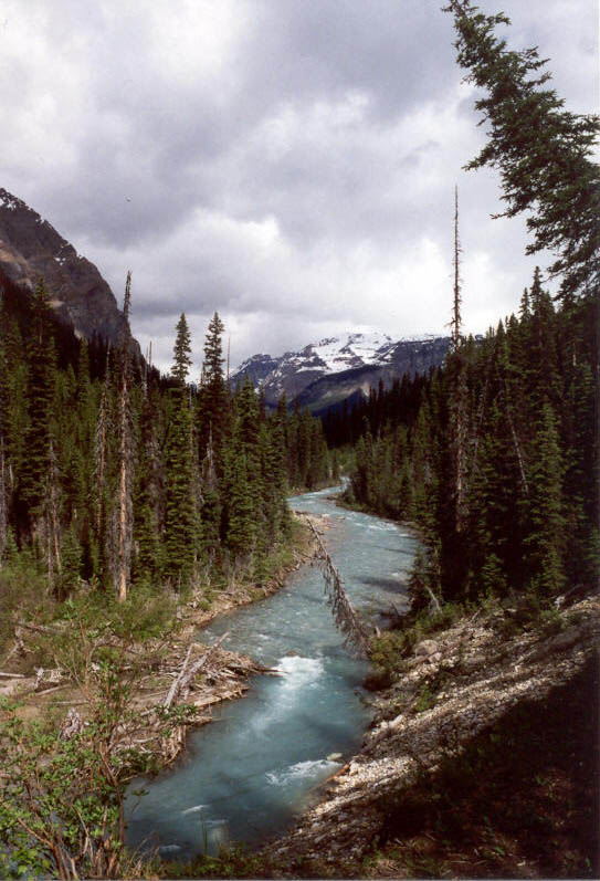 Tokumm Creek