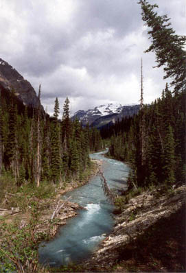 Tokumm Creek