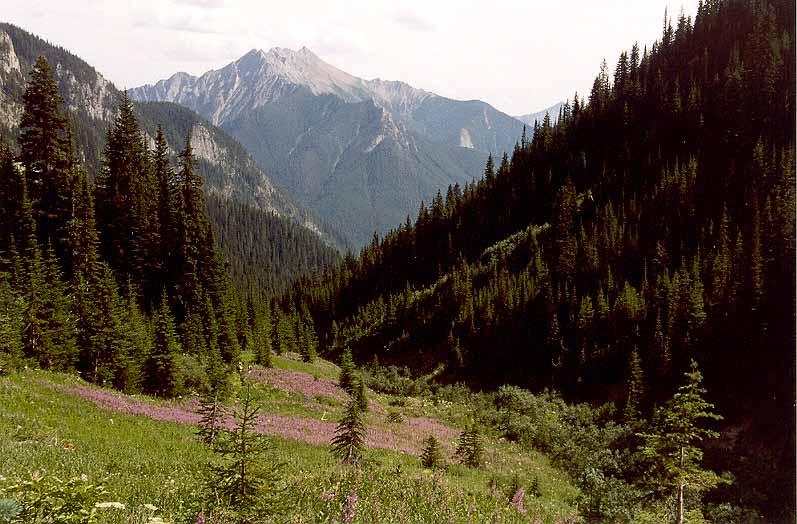 Mount Sinclair from the Sinclair Creek Valley