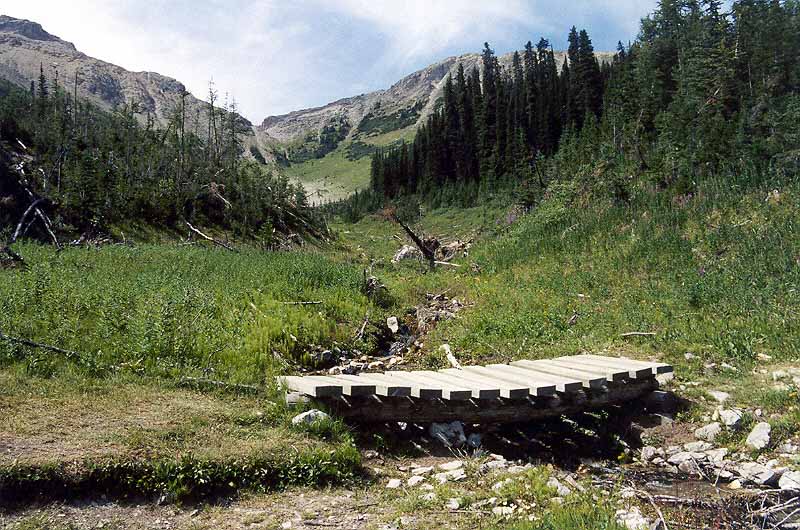 Creek Crossing