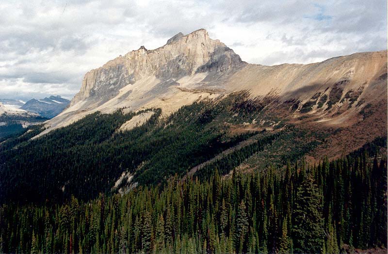 Wapta Mountain from Burgess Pass