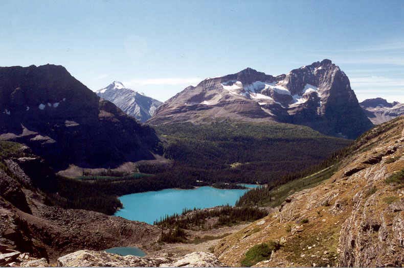 Lake O'Hara and Odaray Mountain