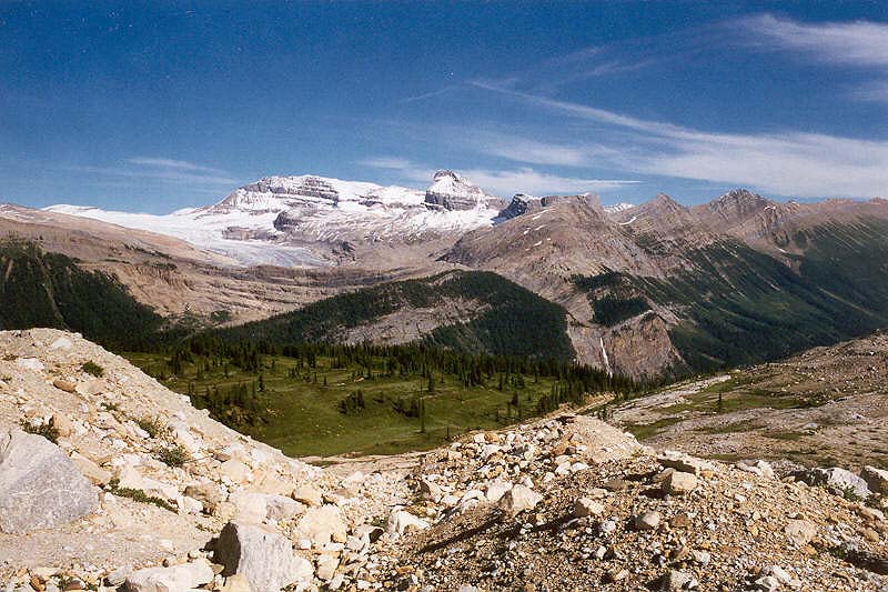 Mount Daly and the Waputik Icefield