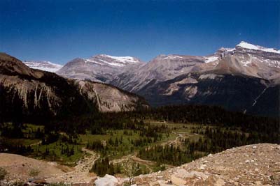 Little Yoho Valley and the Whaleback