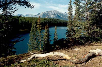 Johnson Lake and Mount Norquay