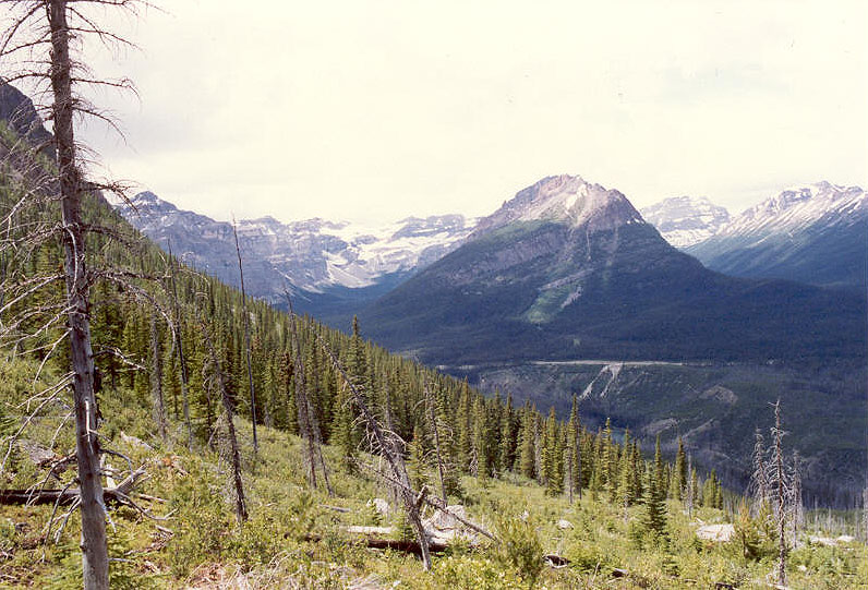 Mount Whymper and Vermilion Pass