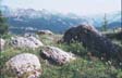 North Simpson River Valley from Healy Pass