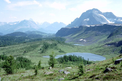 The Monarch from Healy Pass