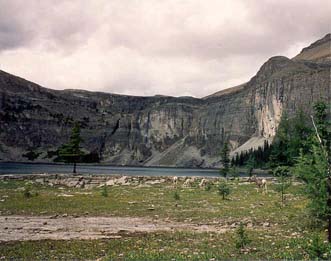 Rockbound Lake and Sheep