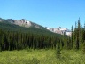 Meadows along Red Earth Creek