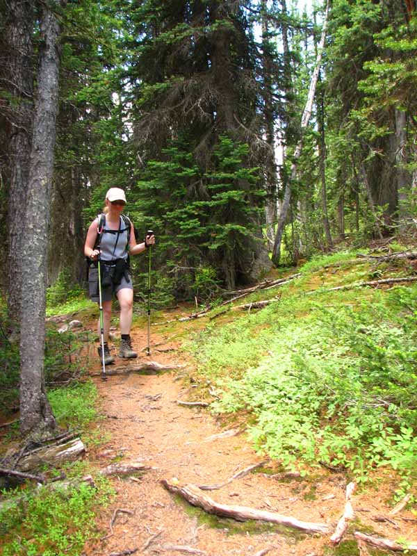 Going Up to Gibbon Pass