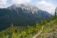 Mount Norquay                    