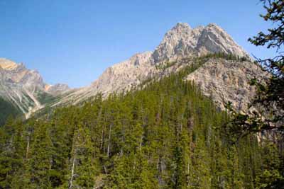 Mount Edith                      