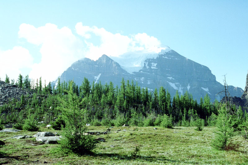 Mount Temple from the Mount Fairview Junction