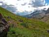 Mount Hector and the Meadows above Molar Pass