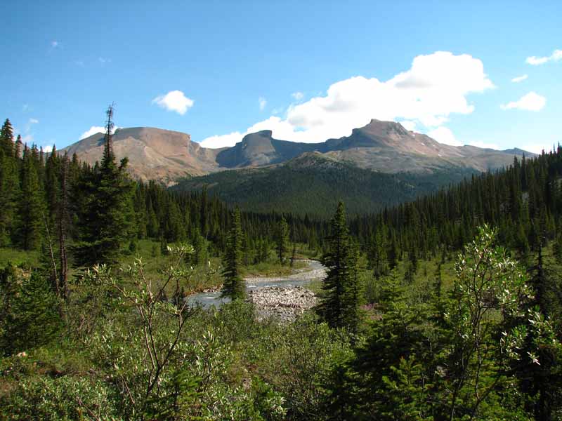 Mosquito Creek Valley