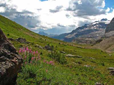 Mount Hector and the Meadows above Molar Pass