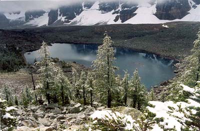 Eiffel Lake