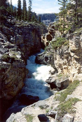 Gorge below the Falls