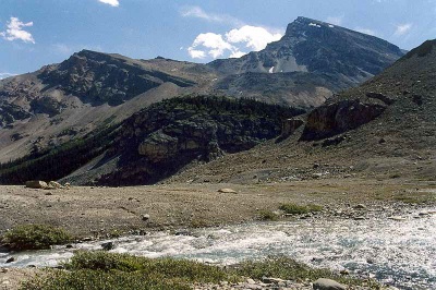 Crowfoot Mountain