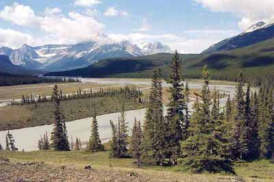 Howse River Valley