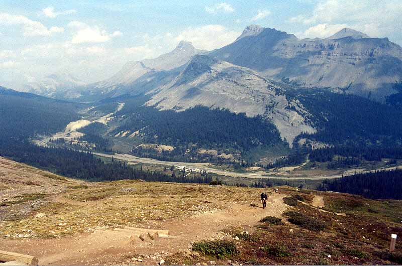 Sunwapta Pass