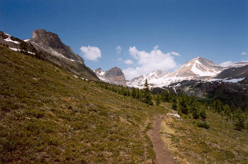 Helen Creek Valley