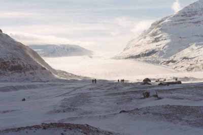 Saskatchewan Glacier