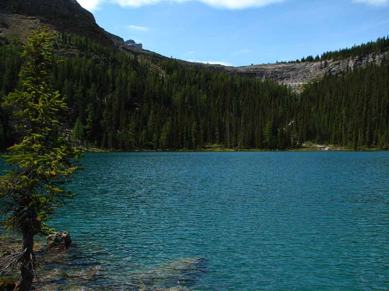 Castilleja Lake         