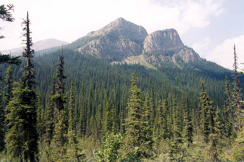 Saddle Mountain