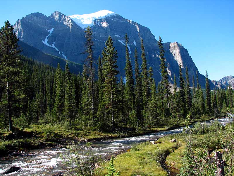 Mount Temple and Paradise Creek