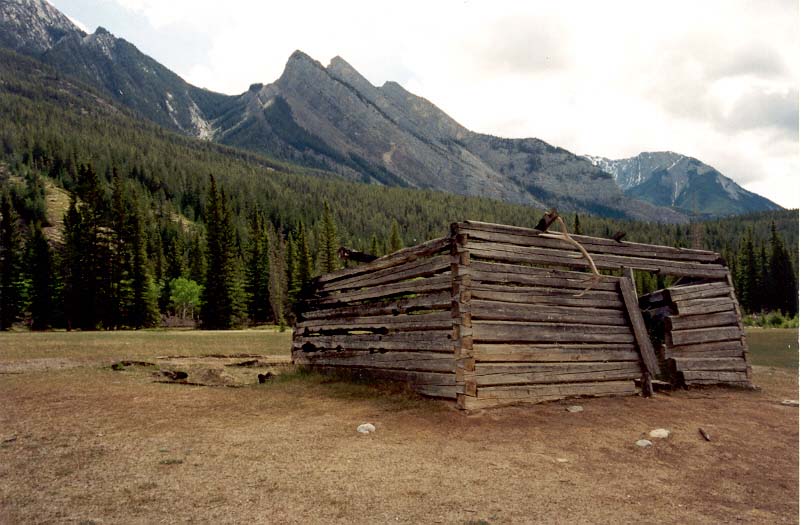 Moberly Cabin Ruins