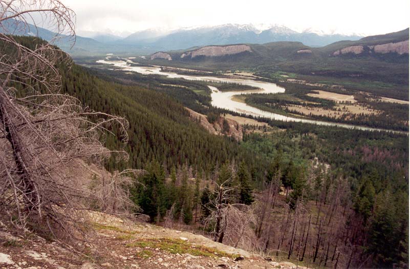 Athabasca River Valley