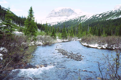 Upper Geraldine Lakes Valley