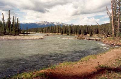 Maligne-Athabasca Confluence