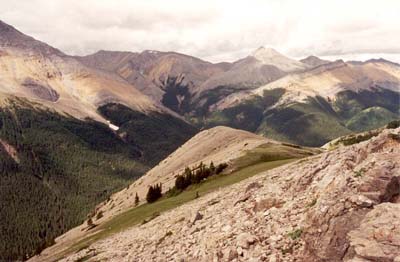 Sulphur Ridge and Miette Range