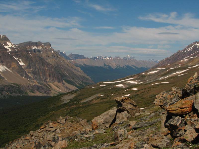 Jonas Creek Valley                  