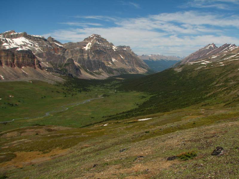 Jonas Creek Valley                  