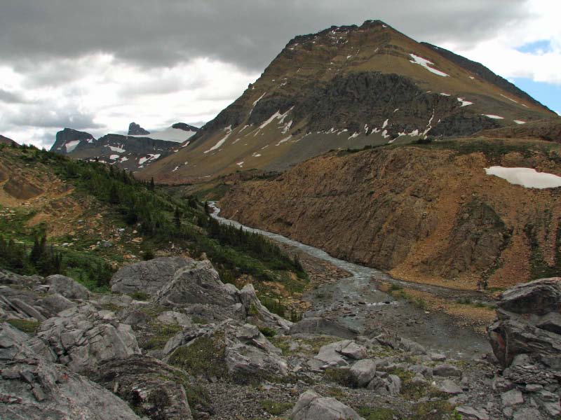 Brazeau Headwaters                  