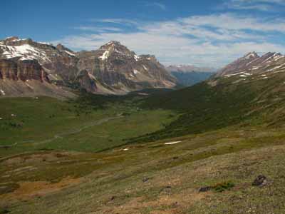 Jonas Creek Valley                  