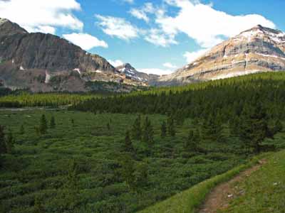 Upper Brazeau Valley                