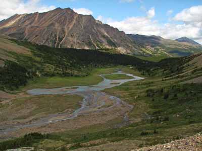 Upper Brazeau Valley                