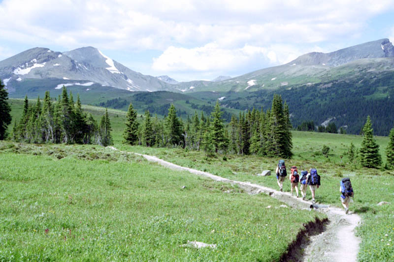 Across the Snowbowl Meadows